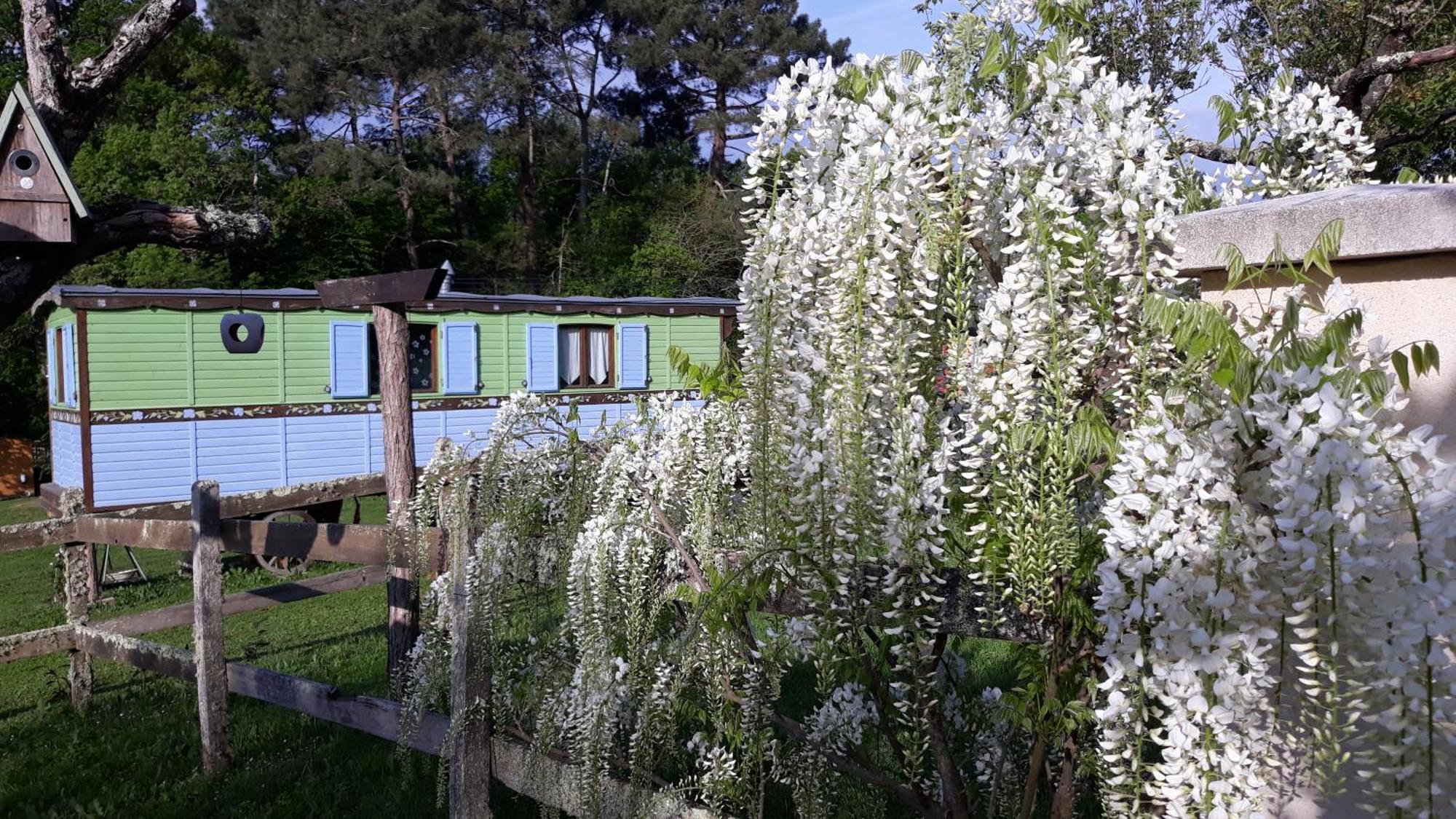 Roulotte Fleur Des Champs Villa Sigalens ภายนอก รูปภาพ